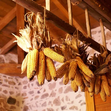 Chez Valerie Ouroux